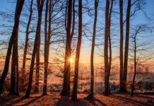 Jak wybrać dobre kąpielówki?